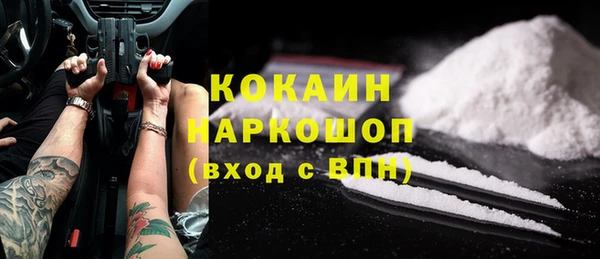 прущие грибы Абаза