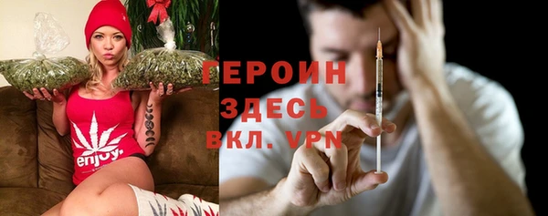 прущие грибы Абаза