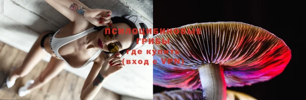 ПСИЛОЦИБИНОВЫЕ ГРИБЫ Абдулино