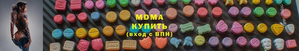 прущие грибы Абаза
