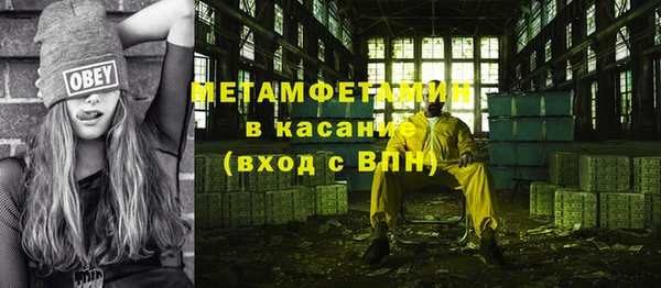 прущие грибы Абаза