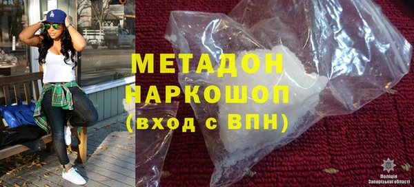 прущие грибы Абаза