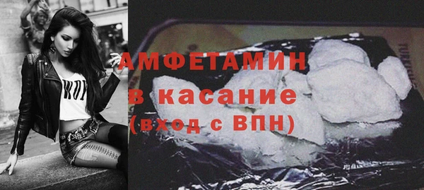 прущие грибы Абаза