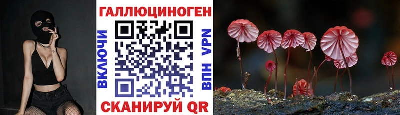 Галлюциногенные грибы Psilocybine cubensis  Тетюши 